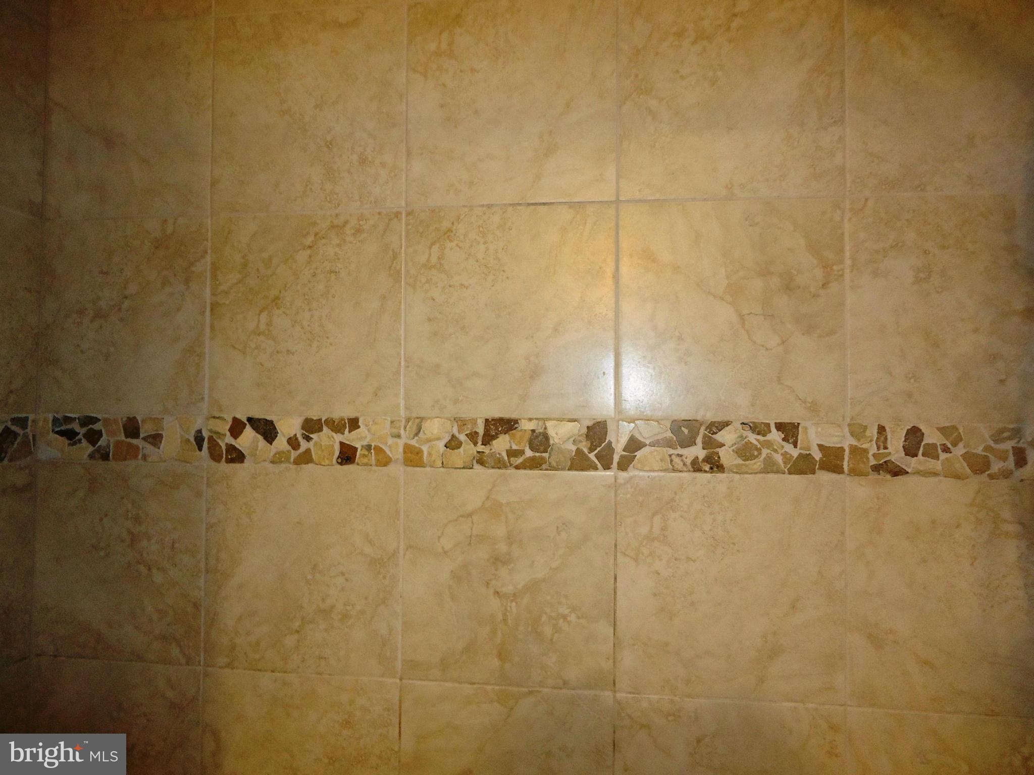 9316 Oak White Road Baltimore, MD 21236 - Photo 17 of 30 Bath (Master)