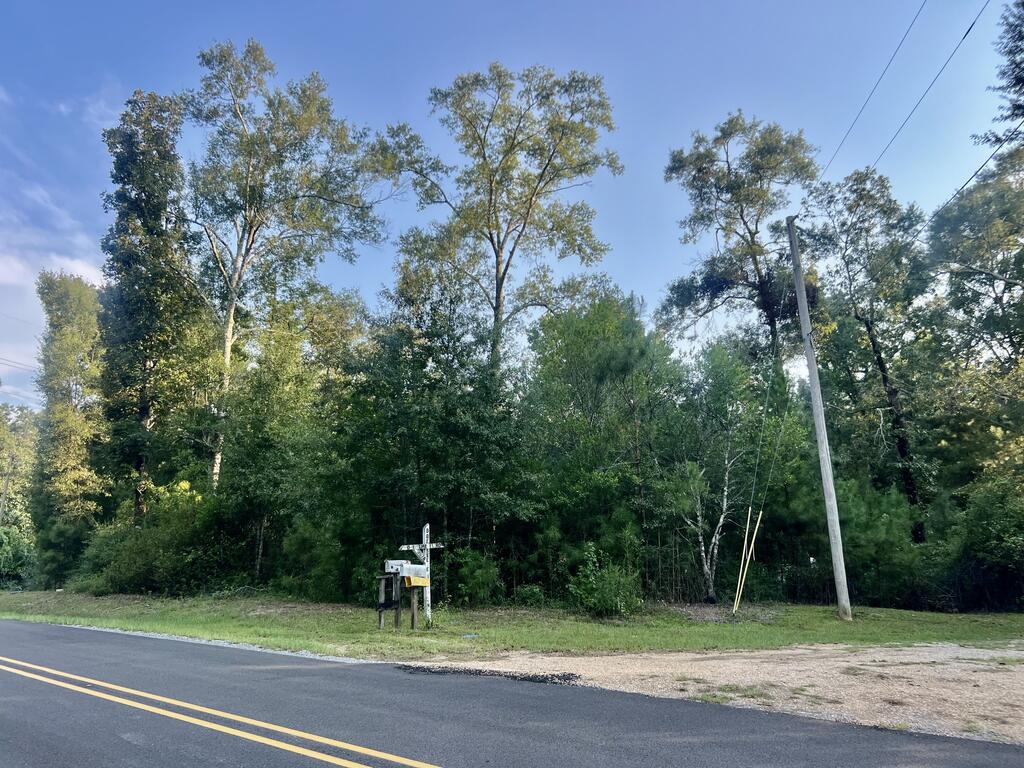 337 Sones Chapel Road Carriere, MS 39426 - Photo 31 of 35 Gallery Image 31