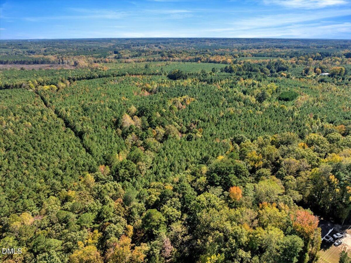 0 Coon-Myrick Road Littleton, NC 27850 - Photo 8 of 16 09-DJI_20251015134841_0131_D