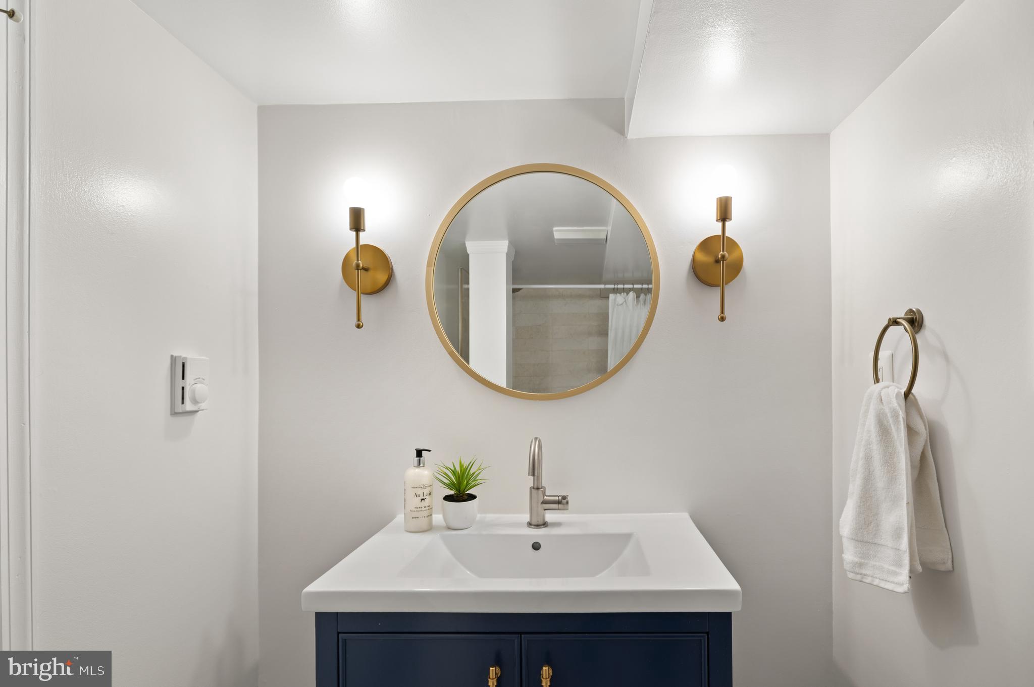 108 East Braddock Road Alexandria, VA 22301 - Photo 15 of 21 Lower Level Bathroom