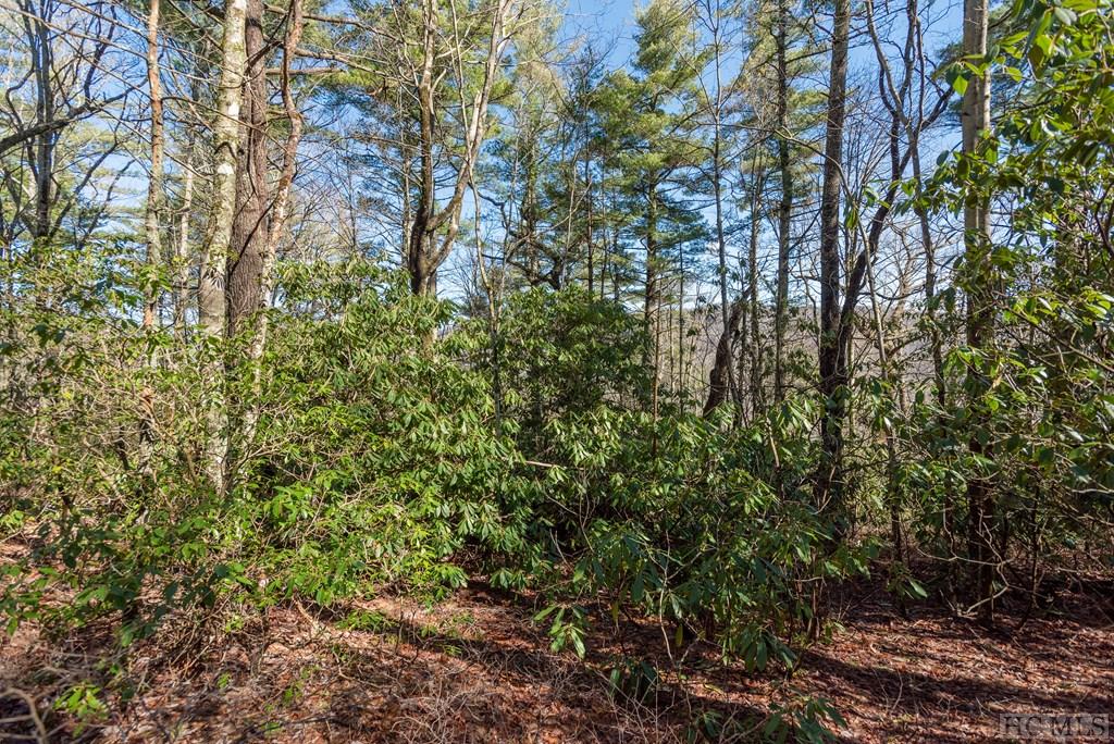 Lot 54 Ledgeview Road Cashiers, NC 28717 - Photo 8 of 16 Gallery Image 8