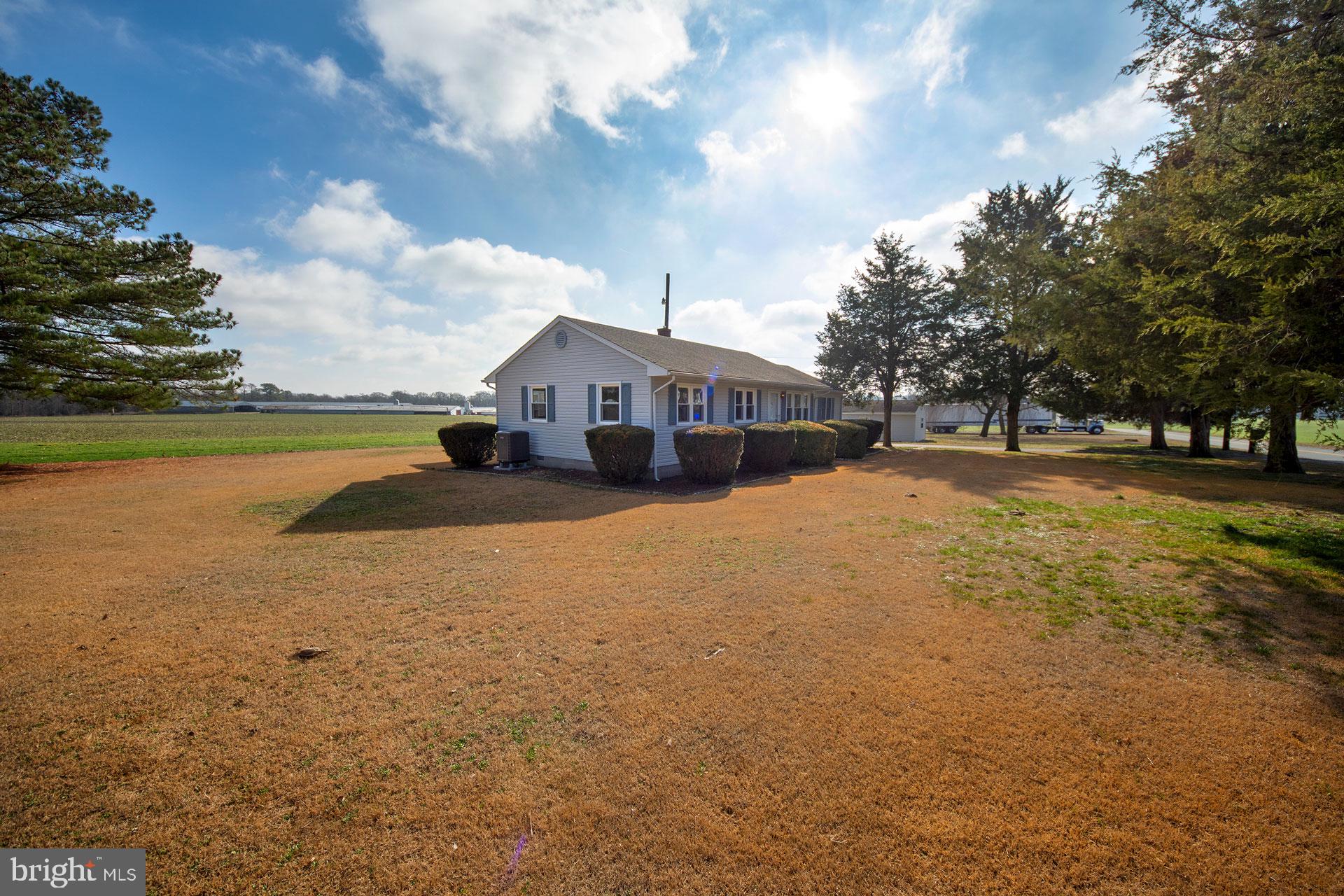 5613 Indiantown Road Rhodesdale, MD 21659 - Photo 3 of 36