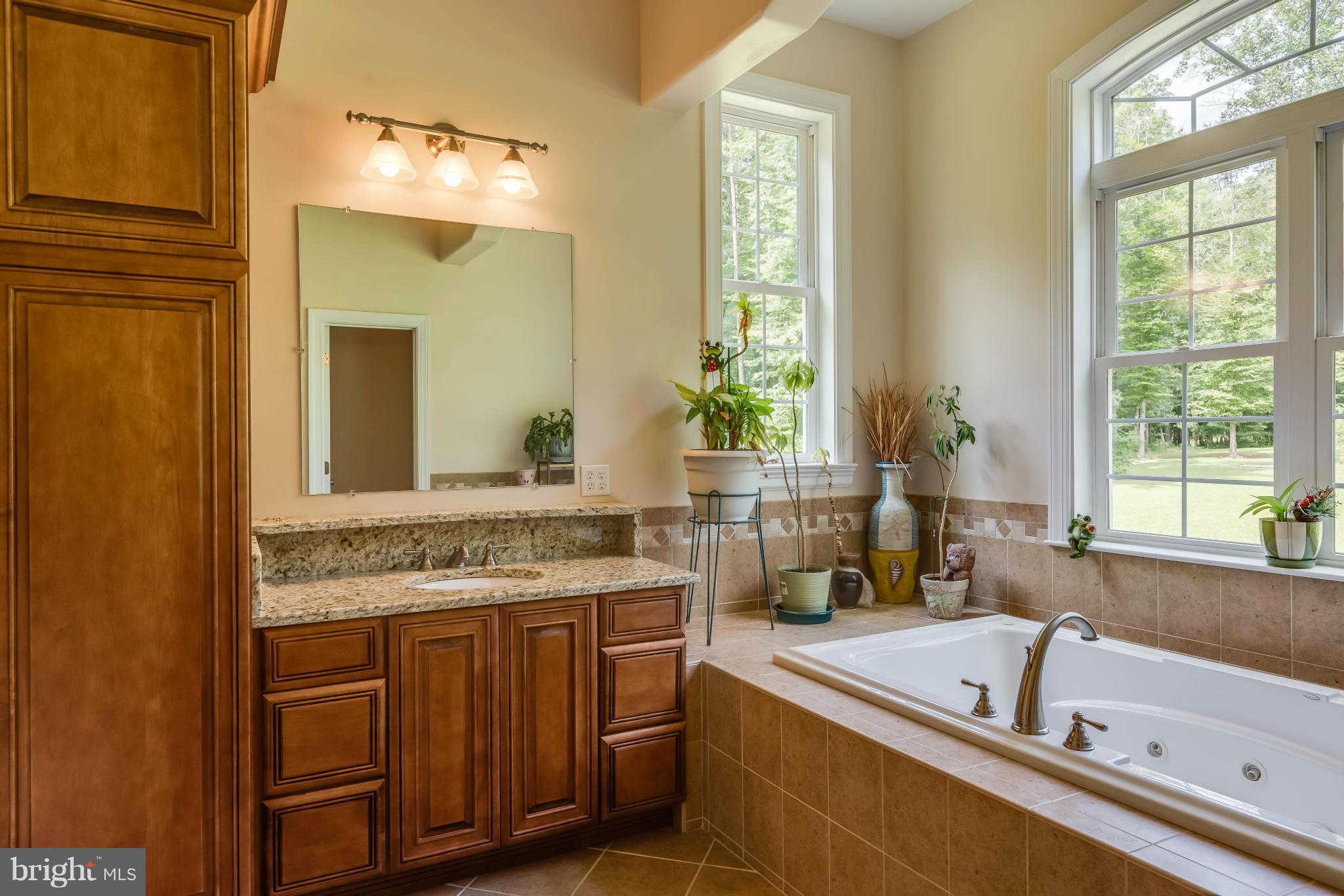 19385 Country Road Beaverdam, VA 23015 - Photo 13 of 30 a bathroom with a tub sink and mirror