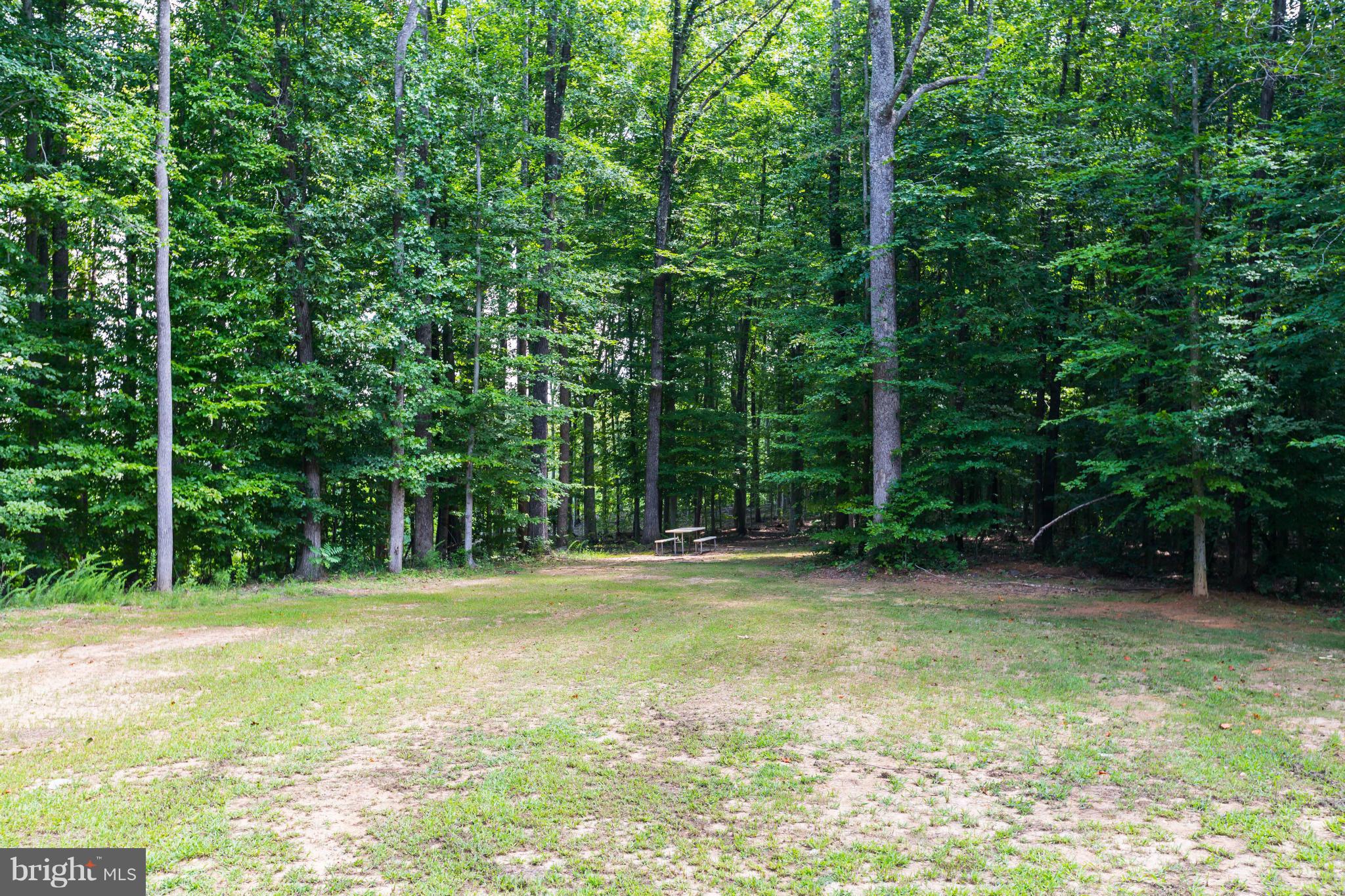 19385 Country Road Beaverdam, VA 23015 - Photo 28 of 30 a view of outdoor space with deck and yard