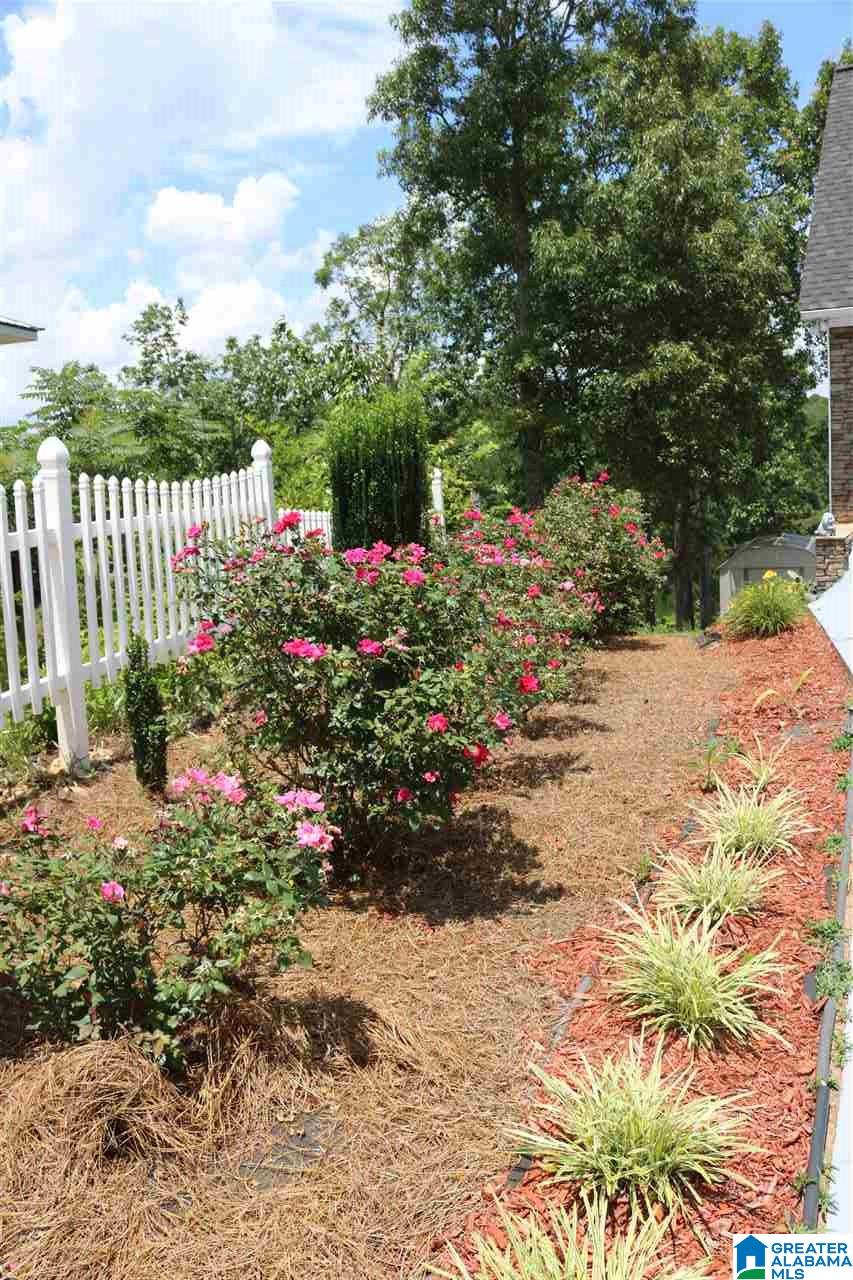 1394 Lane Branch Road Wedowee, AL 36278 - Photo 33 of 37