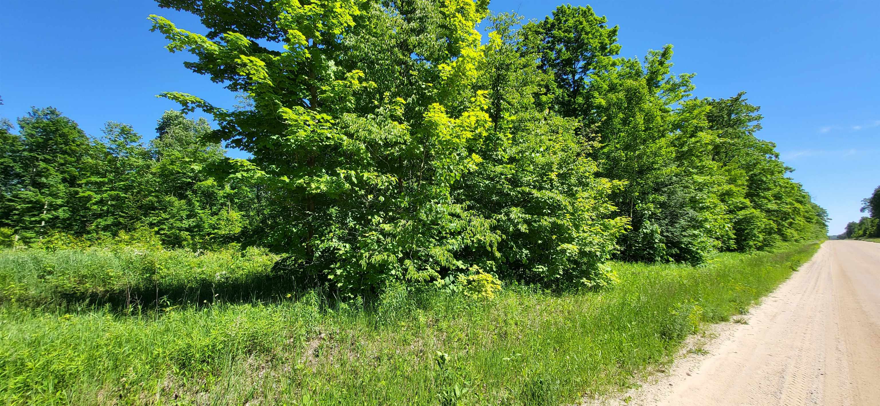 Tbd Bocook Road Mancelona, MI 49659 - Photo 20 of 46