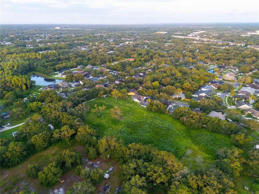6327 Gant Road Tampa, FL 33625 - Photo 2 of 4 an aerial view of residential houses with outdoor space and trees