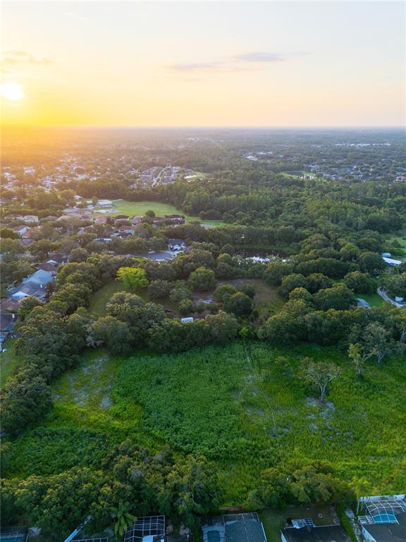 6327 Gant Road Tampa, FL 33625 - Photo 3 of 4 a view of city and mountain