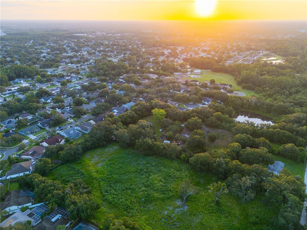 6327 Gant Road Tampa, FL 33625 - Photo 4 of 4 a view of a city