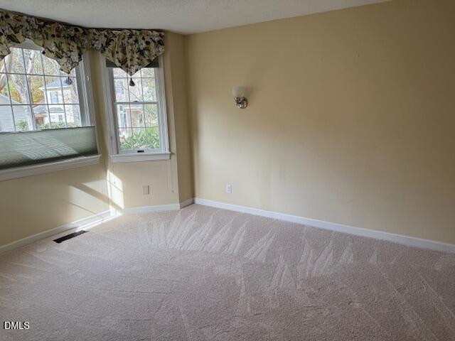 309 Baneberry Close Pittsboro, NC 27312 - Photo 18 of 43 a view of an empty room with a window