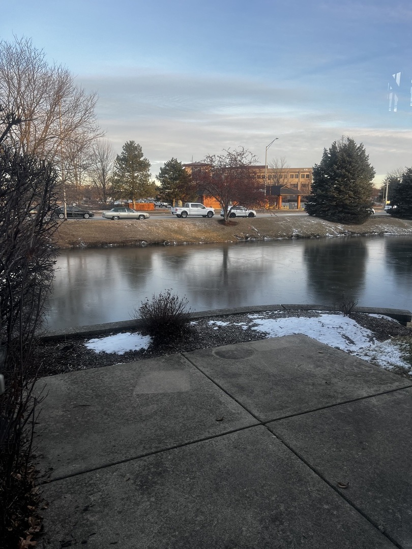 640 Beaver Court Naperville, IL 60563 - Photo 5 of 26 a view of a lake view