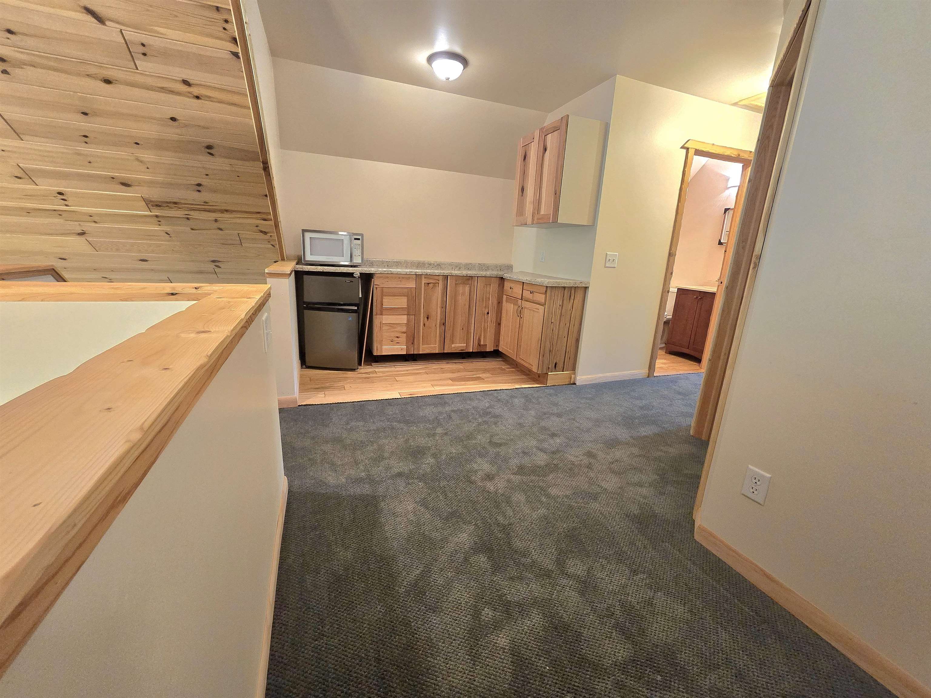 790 North Eckhardt Road Bellaire, MI 49615 - Photo 54 of 73