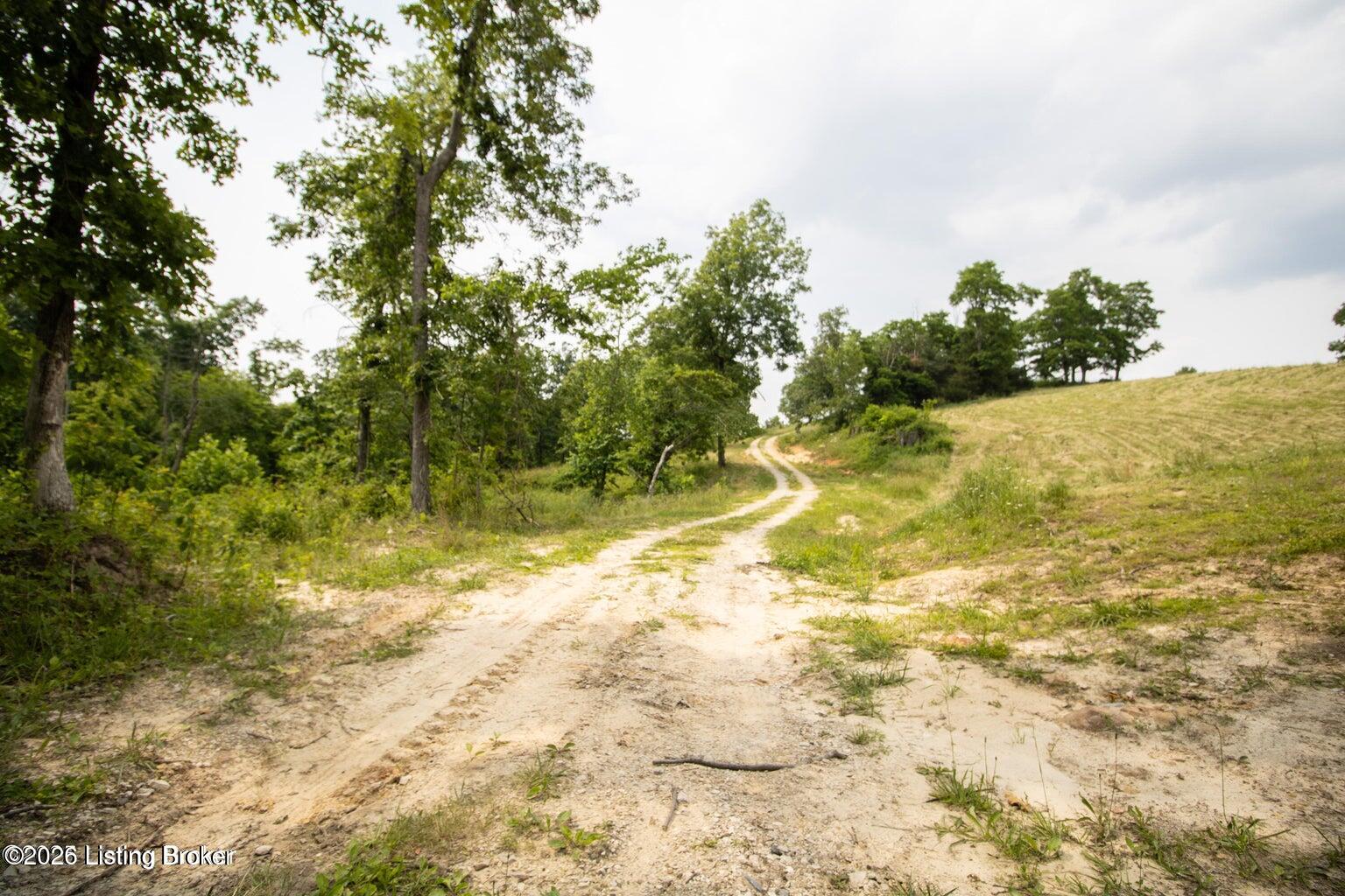 0 Summit-Eastview Road Eastview, KY 42732 - Photo 5 of 17 6