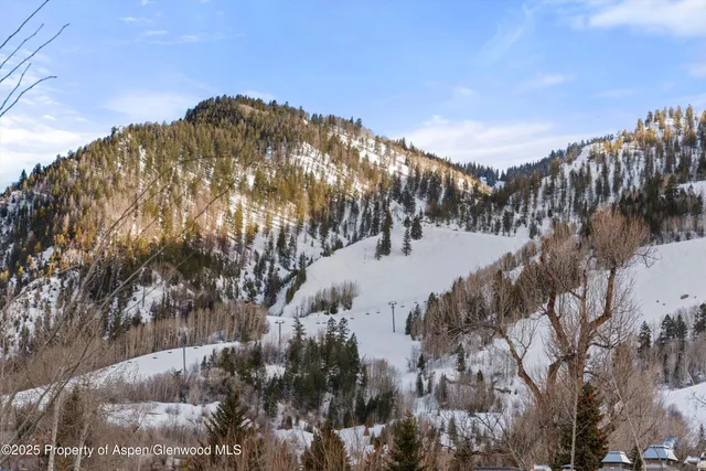 $115,000 | 304 South Garmisch Street, Aspen, CO 81611