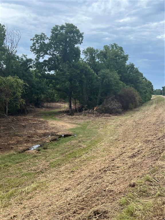 0 River Road Colfax, LA 71417 - Photo 8 of 15 Gallery Image 8