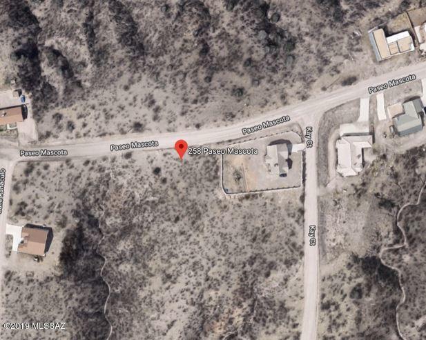 mascota sat photo