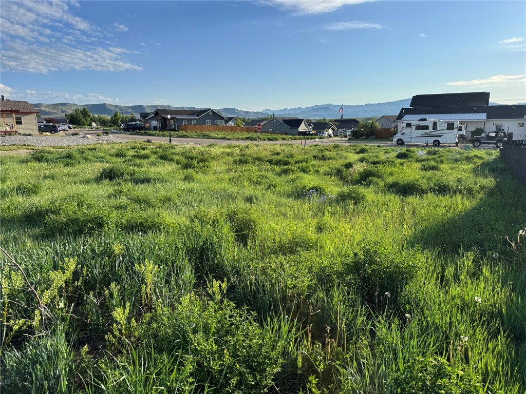 376 Lake View Road Hayden, CO 81639 - Photo 3 of 3 a view of a bunch of trees and bushes