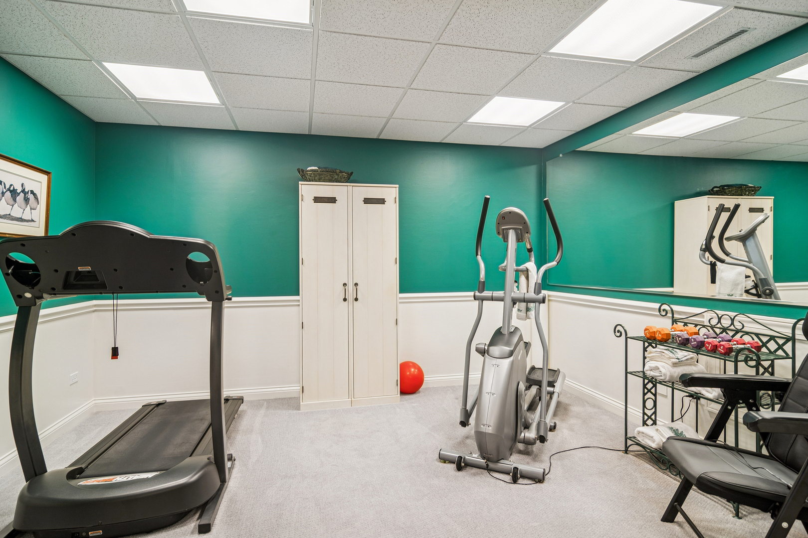 1520 MacAlpin Circle Inverness, IL 60010 - Photo 50 of 59