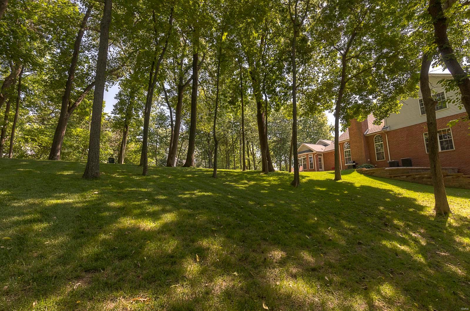 1217 Rutherford Ridge O'Fallon, IL 62269 - Photo 35 of 55