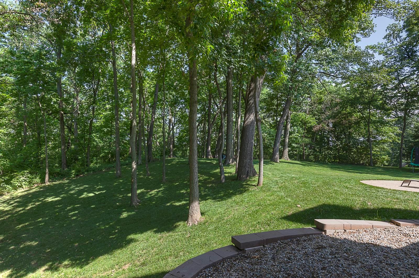 1217 Rutherford Ridge O'Fallon, IL 62269 - Photo 36 of 55