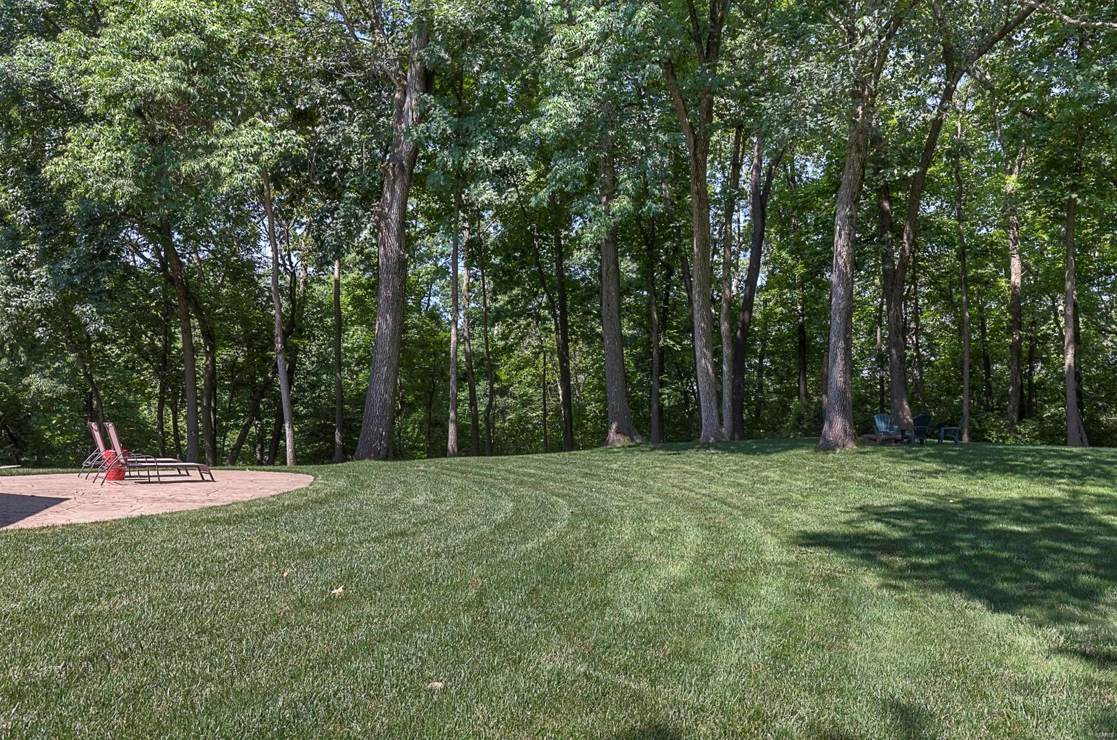 1217 Rutherford Ridge O'Fallon, IL 62269 - Photo 48 of 55