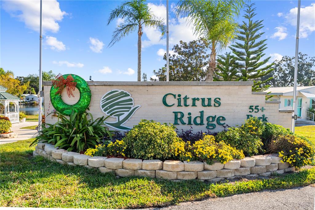 445 Citrus Ridge Drive Davenport, FL 33837 - Photo 51 of 54