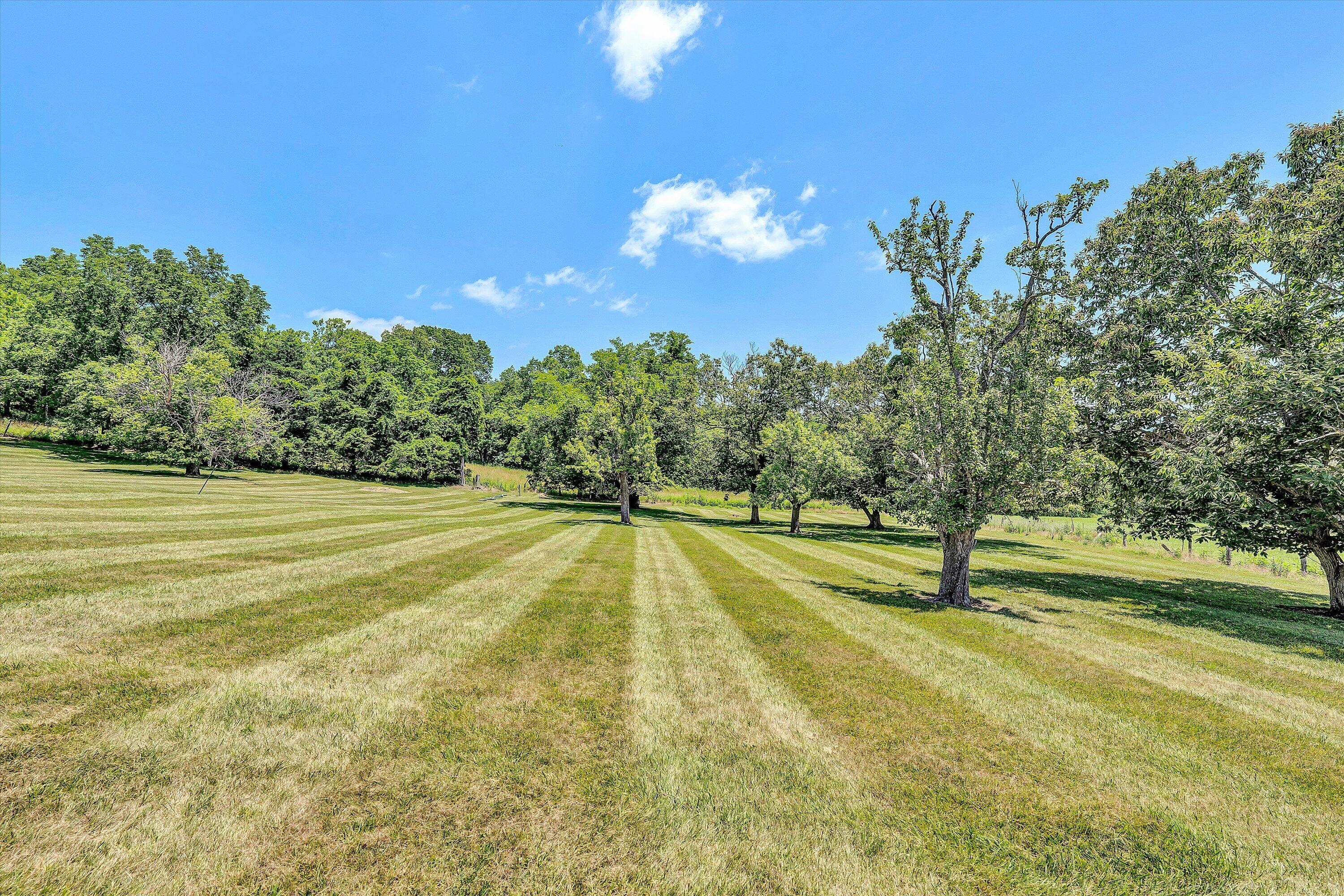 1066 Greyledge Road Buchanan, VA 24066 - Photo 80 of 122 080-DSC08629