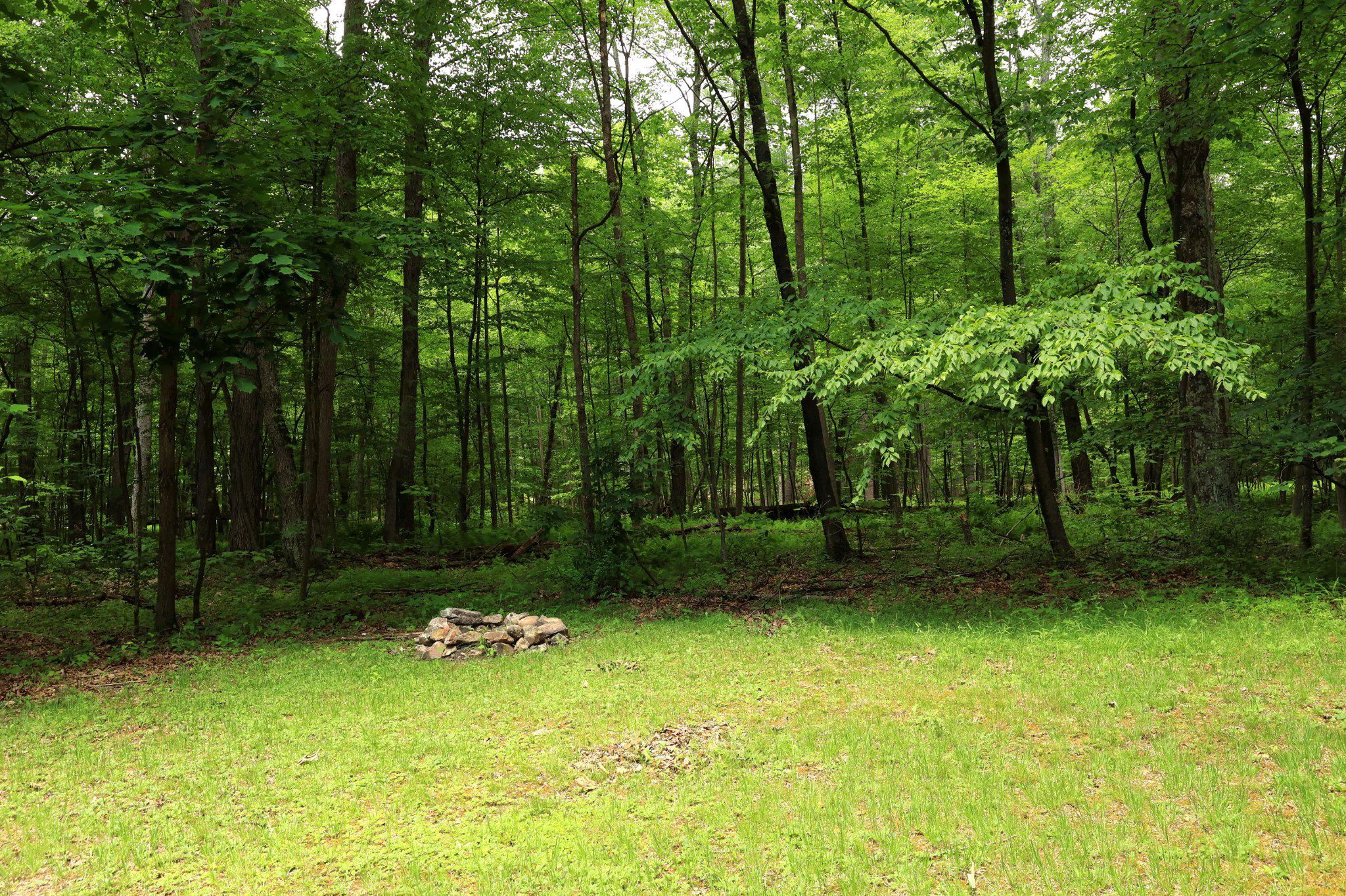 4464 Tram Road Spruce Creek, PA 16683 - Photo 45 of 53 a view of a backyard