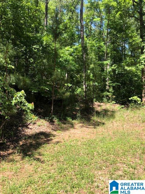 Jeans Way, Unit 7 Wedowee, AL 36278 - Photo 1 of 2