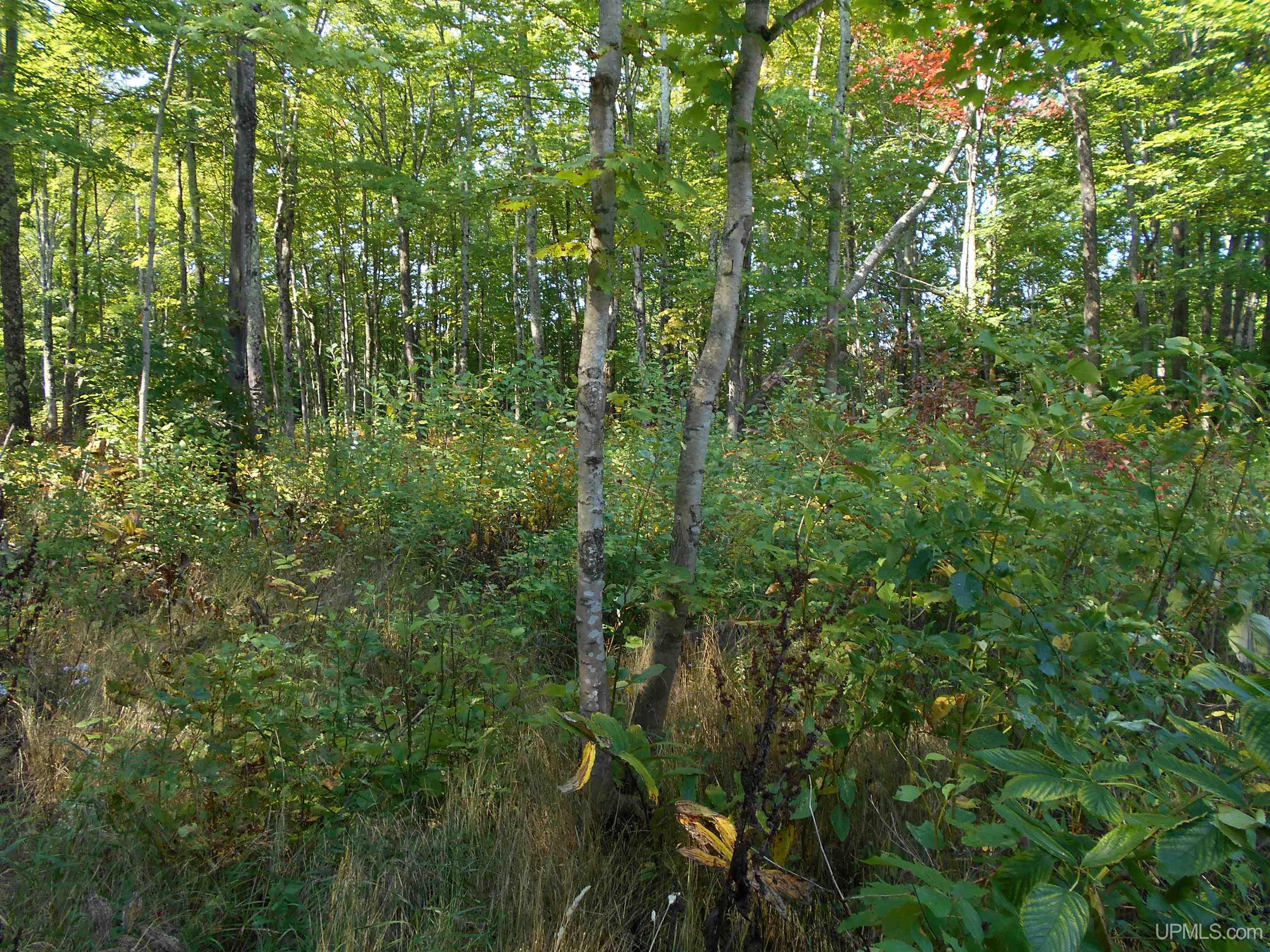 1931 W Quarry Road Gulliver, MI 49840 - Photo 39 of 44 Gallery Image 39