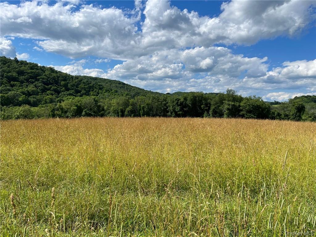 Perrys Corners Road Amenia, NY 12501 - Photo 10 of 14 Mountain view