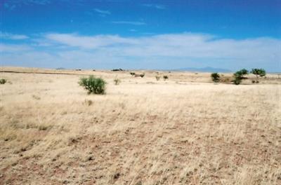 0 North Swanson Road, Unit 4 Sonoita, AZ 85637 - Photo 1 of 2