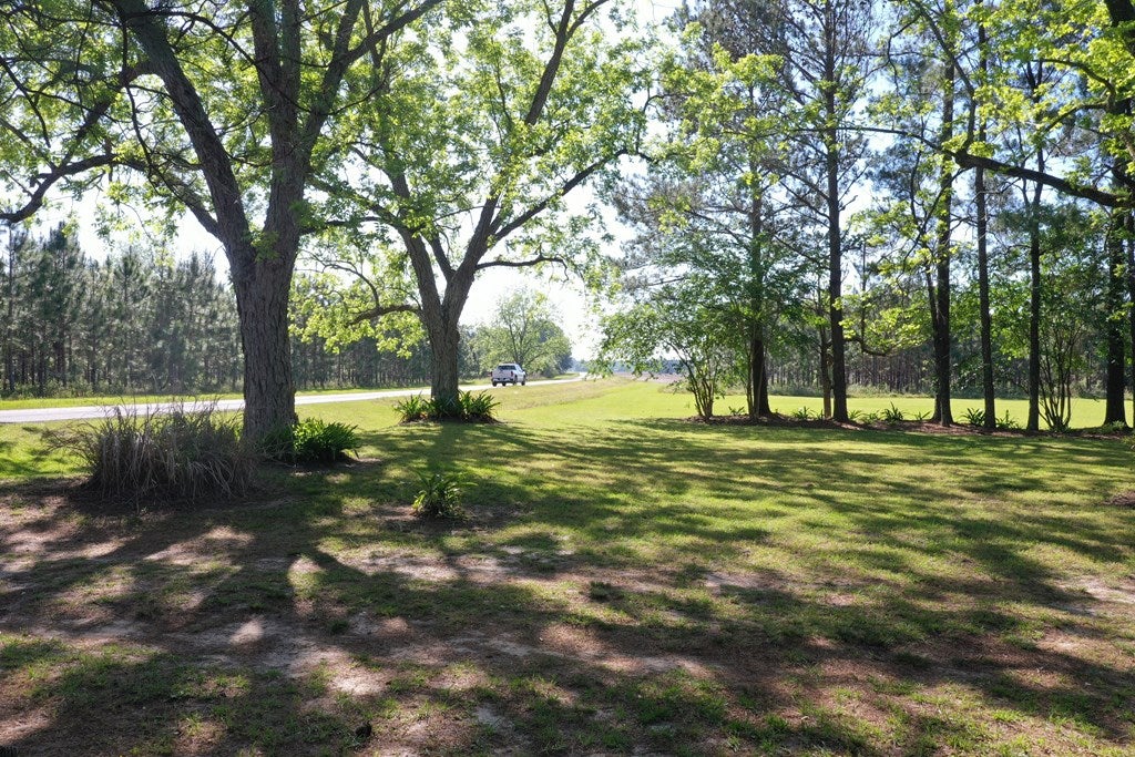 17862 State Rte 188 Coolidge, GA 31738 - Photo 21 of 72 Under the Pecan Trees