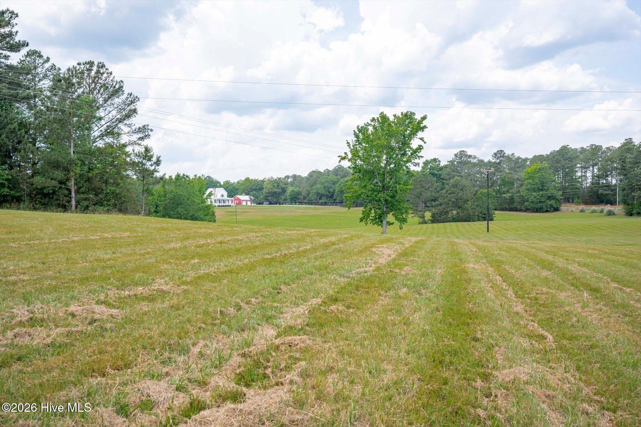 153 Barksdale Ferry Road McCormick, SC 29835 - Photo 72 of 91 Land Views