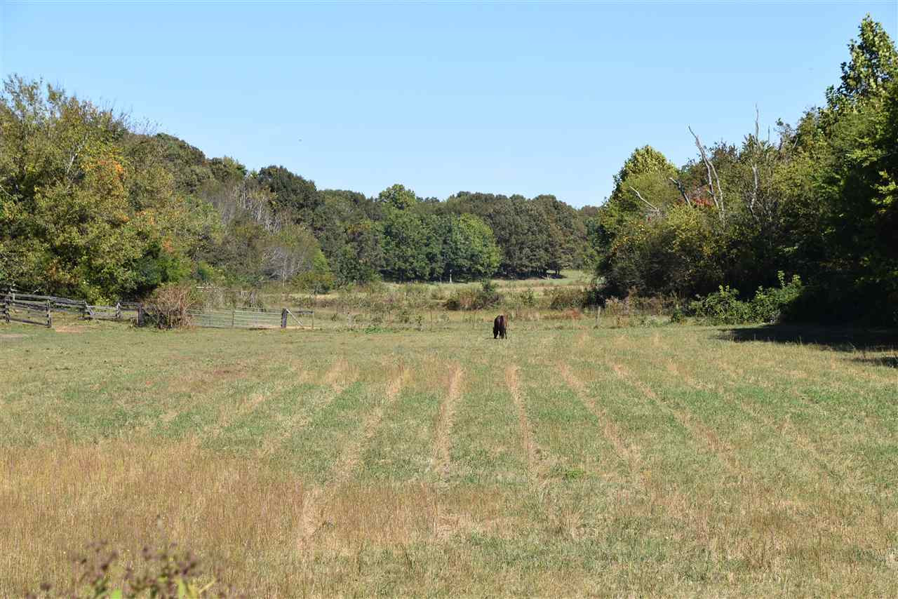 435 Nobles Road Luray, TN 38352 - Photo 9 of 10 Photo 9