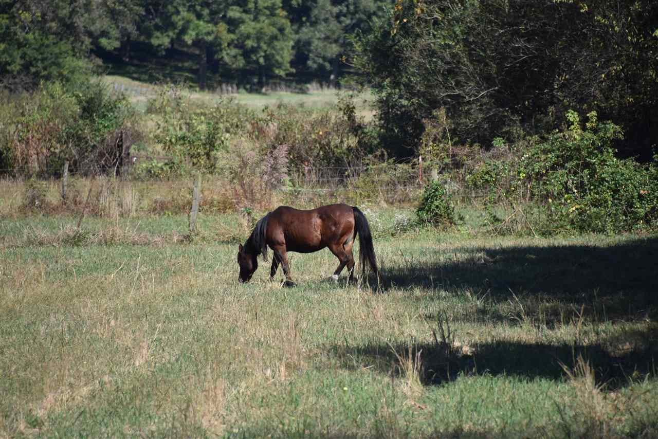 435 Nobles Road Luray, TN 38352 - Photo 10 of 10 Photo 10