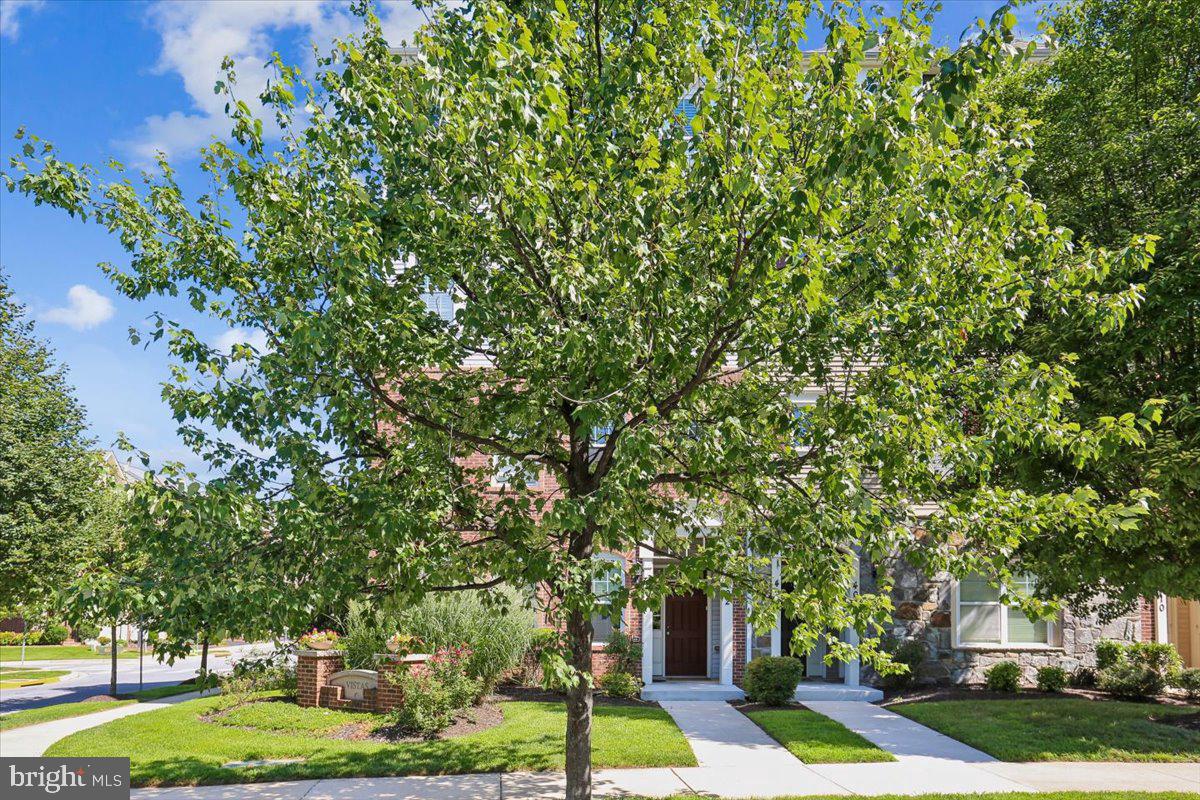 402 Orchard Ridge Drive Gaithersburg, MD 20878 - Photo 61 of 69 Gallery Image 61