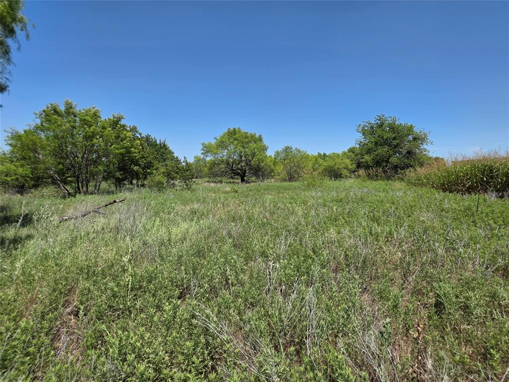 1000 County Road 375 Rising Star, TX 76471 - Photo 14 of 40