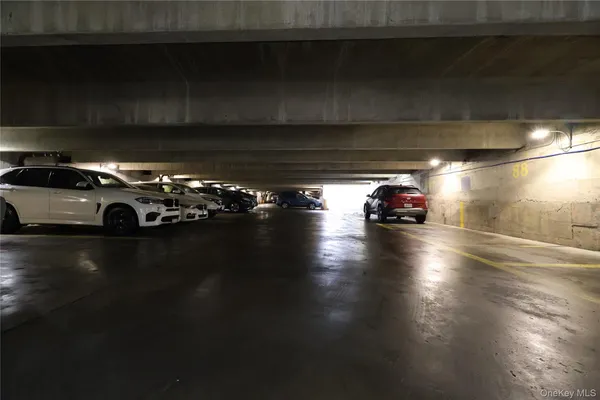 a view of a yard with plants and wooden fence
