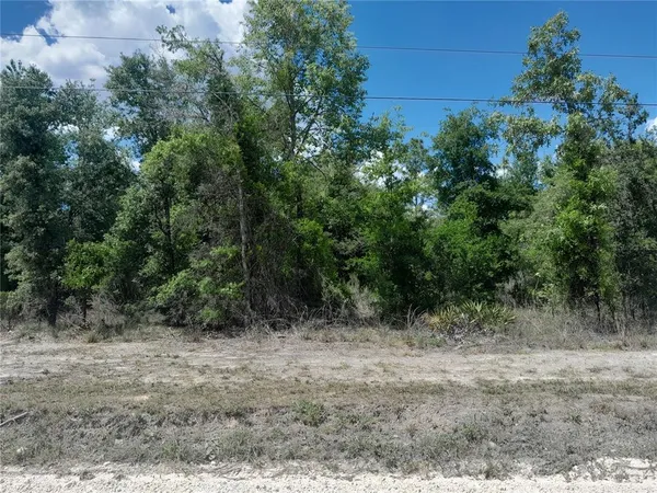 $109,000 | Tbd Northeast 63rd Place, Williston, FL 32696