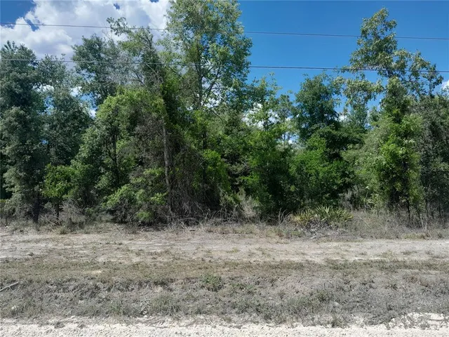 a view of a yard with plants and a tree
