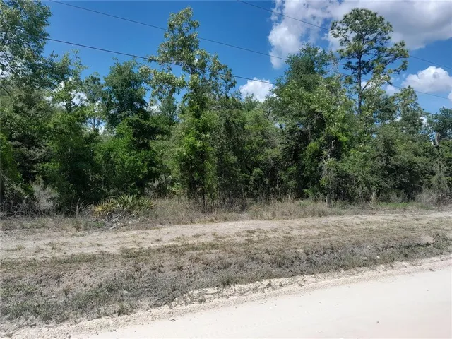 a view of a dry yard with trees