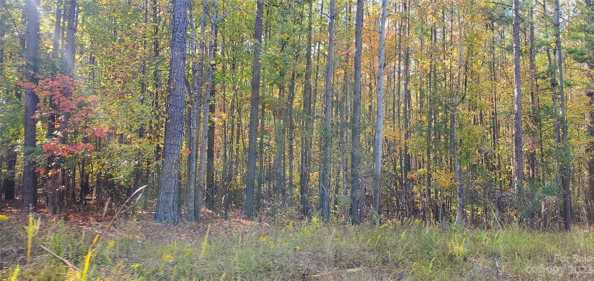Lot 2 Foxridge Road Rock Hill, SC 29732 - Photo 3 of 6 Gallery Image 3
