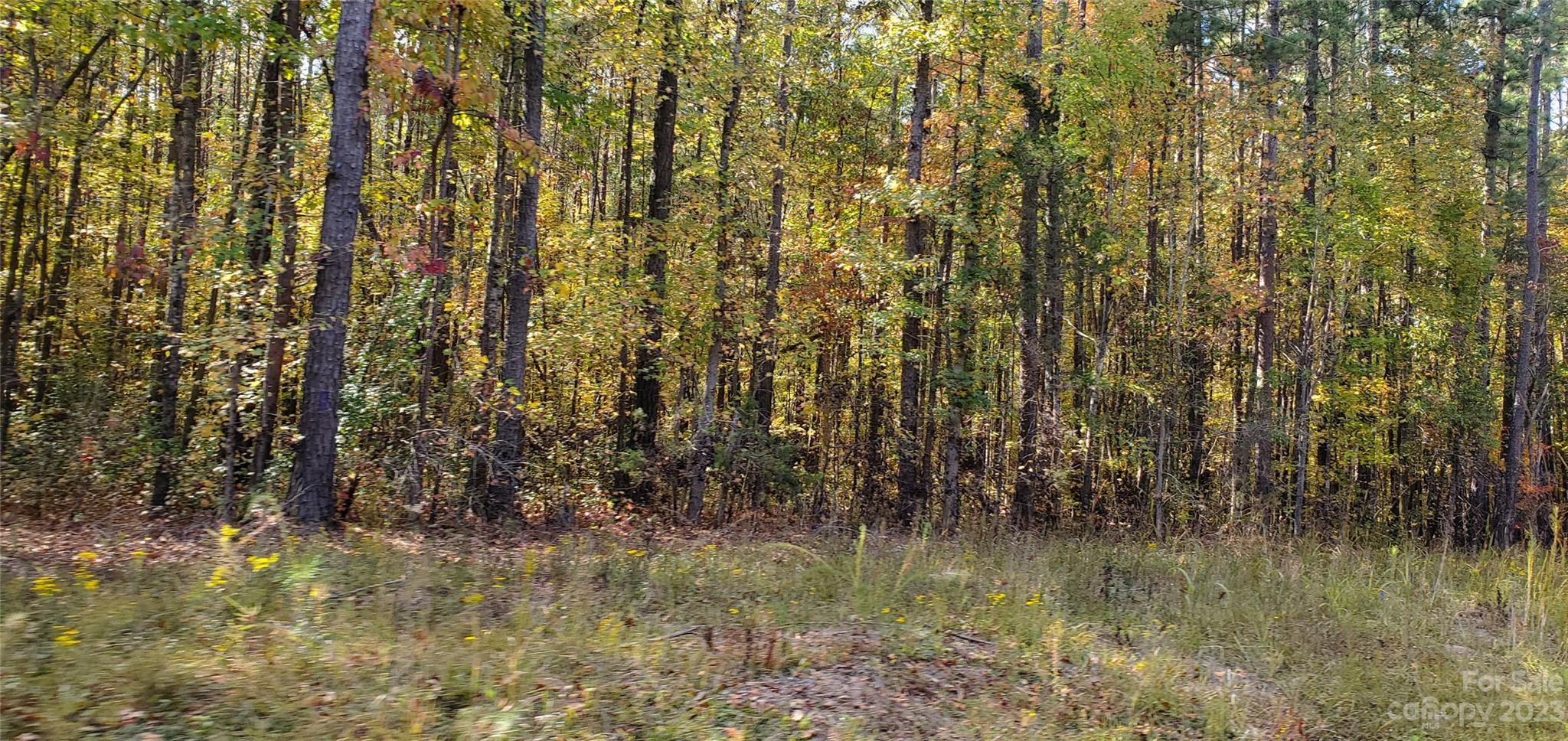 Lot 2 Foxridge Road Rock Hill, SC 29732 - Photo 5 of 6 Gallery Image 5