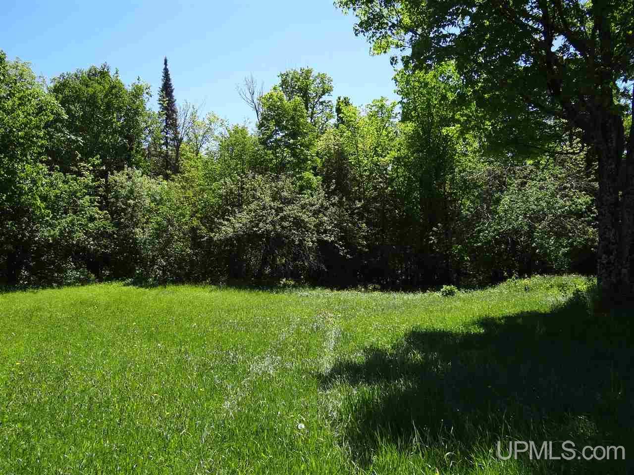 27236 East Branch Road Mass City, MI 49948 - Photo 9 of 9