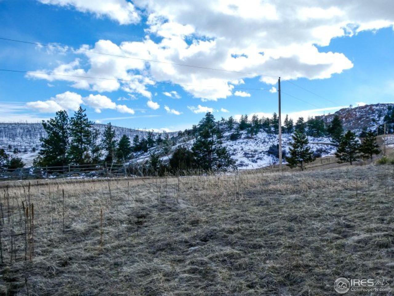 795 Eiger Road Livermore, CO 80536 - Photo 1 of 19 land and SE view