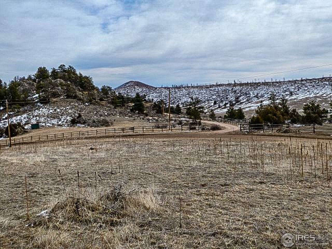 795 Eiger Road Livermore, CO 80536 - Photo 11 of 19 Gallery Image 11