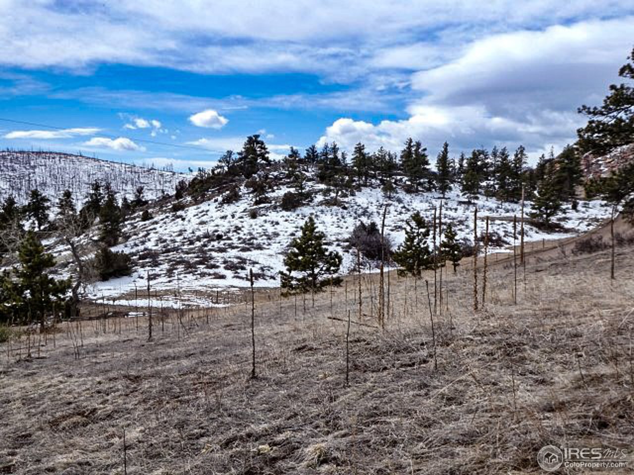 795 Eiger Road Livermore, CO 80536 - Photo 13 of 19 Gallery Image 13