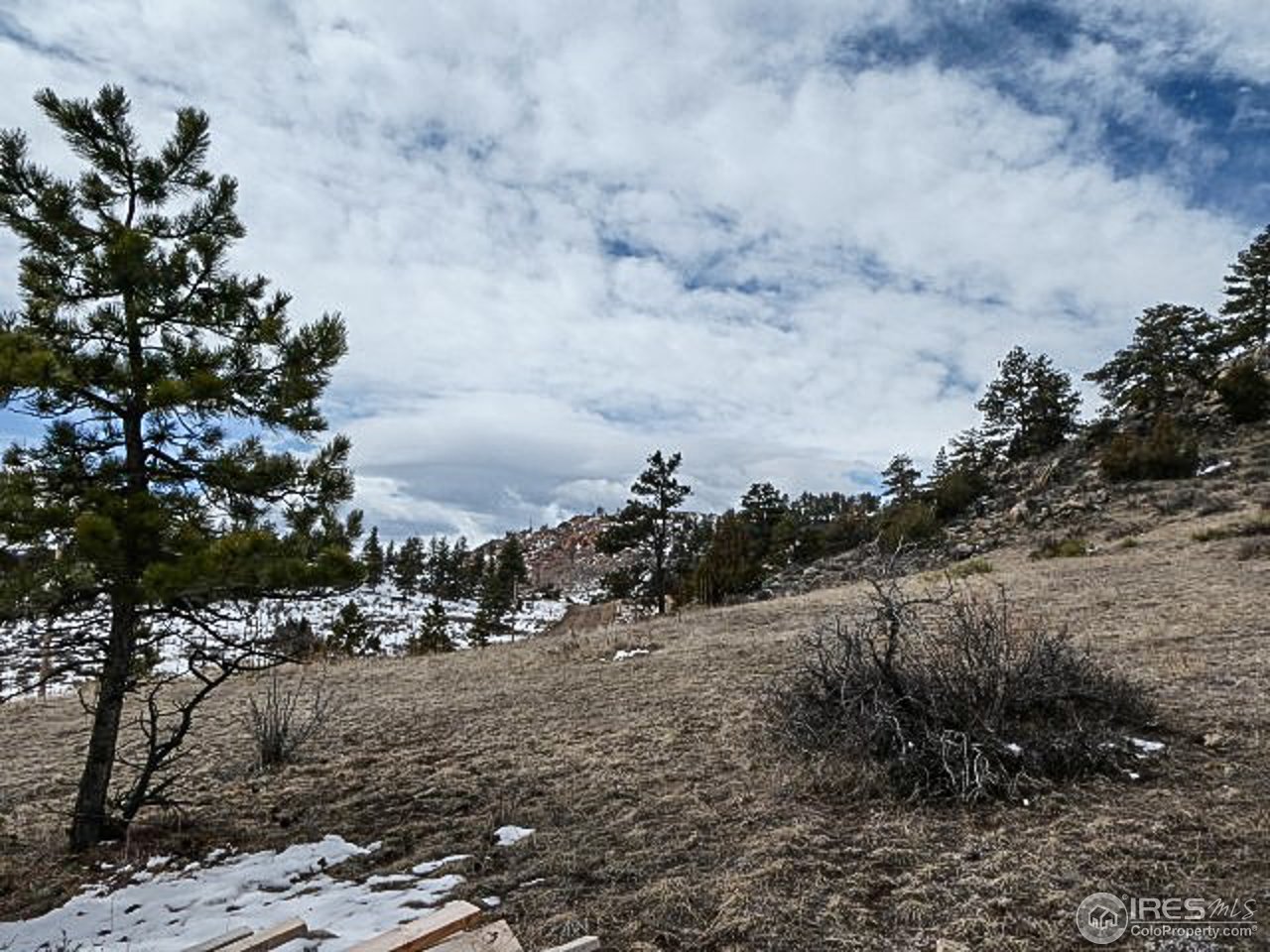 795 Eiger Road Livermore, CO 80536 - Photo 14 of 19 Gallery Image 14
