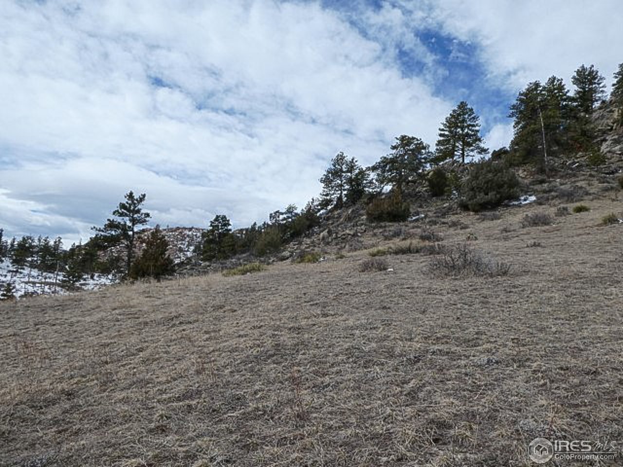 795 Eiger Road Livermore, CO 80536 - Photo 16 of 19 3.61 acres